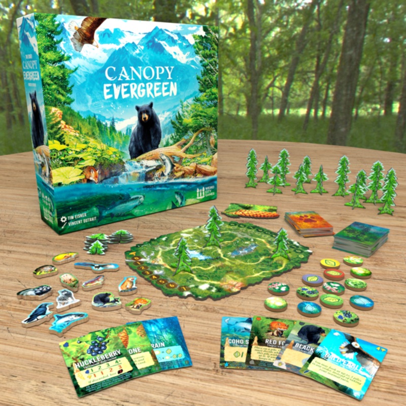 boardplayx3081799