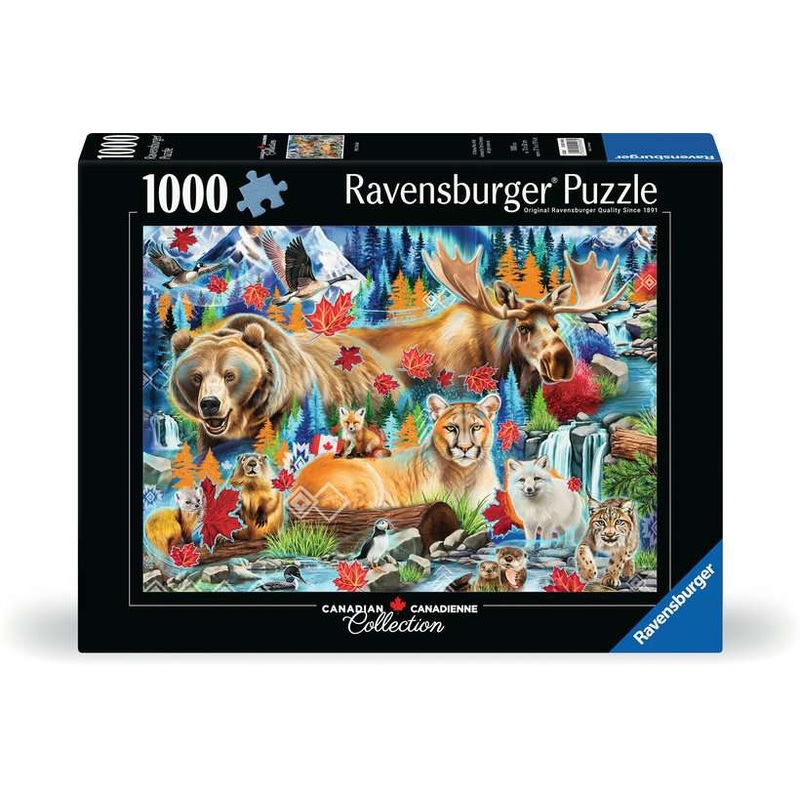 boardplayx3165956