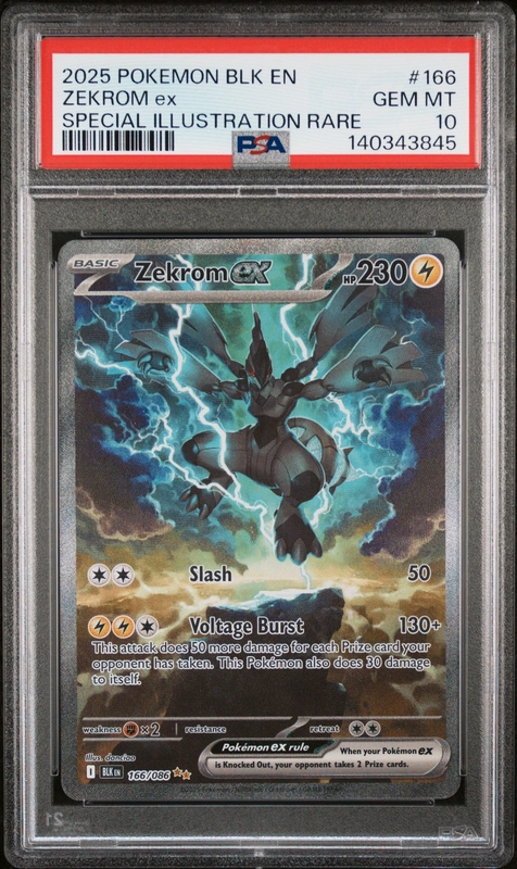 cardshq289197