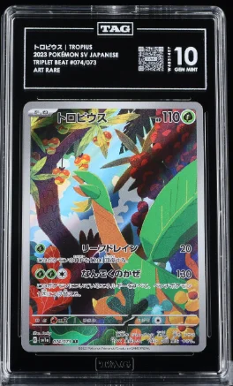 cardshq538304