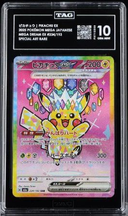 cardshq538383