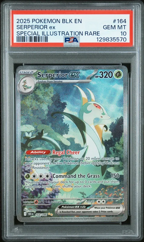cardshq89775