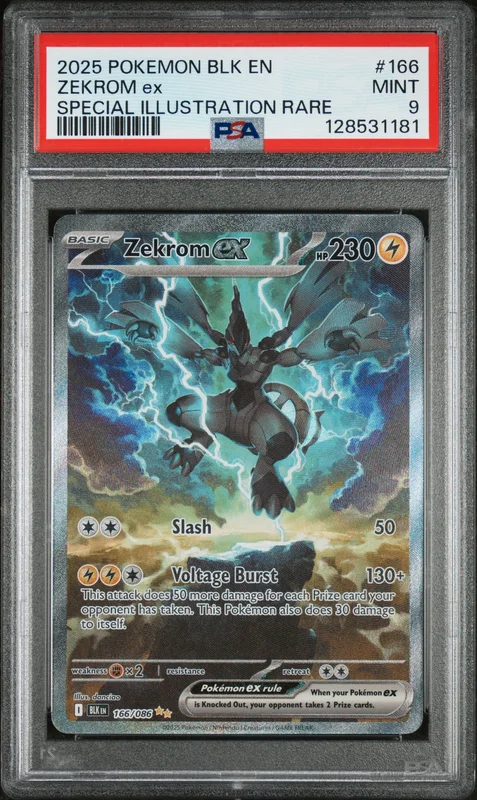 cardshq93644