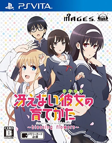 japan-figure100286