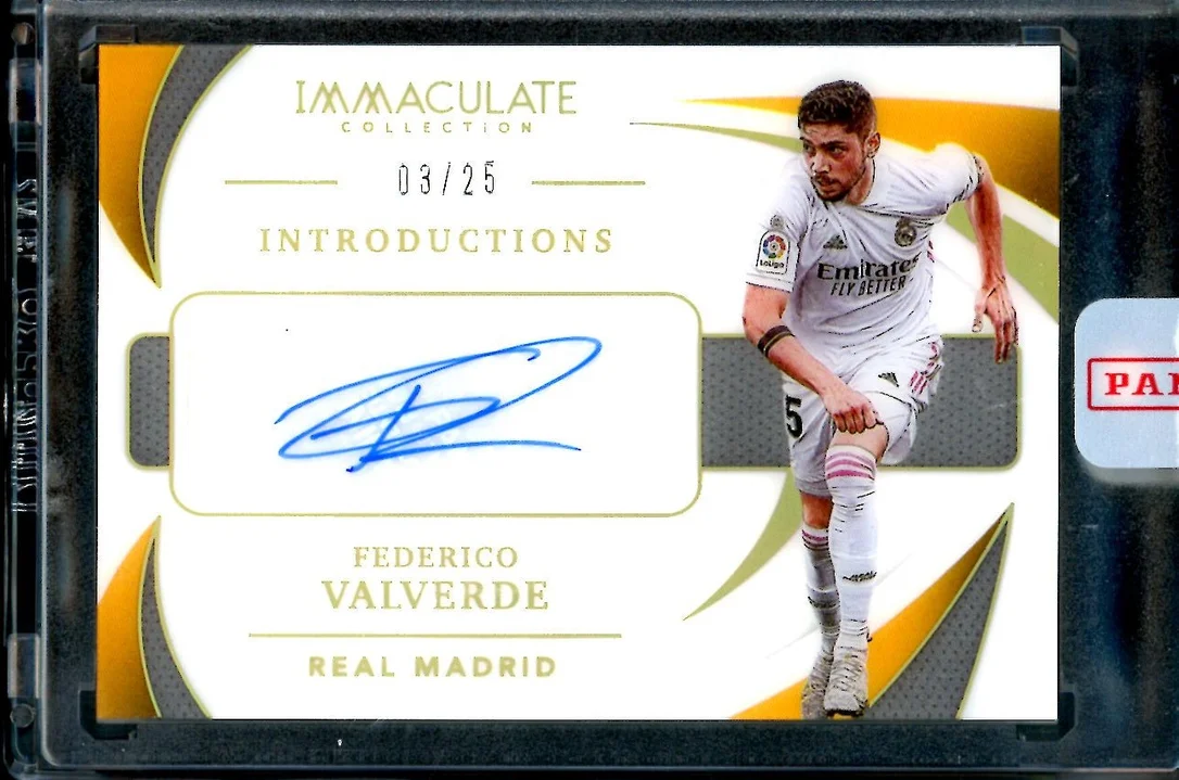 tradingcardmarket2826041