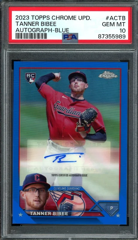 tradingcardmarket2843667