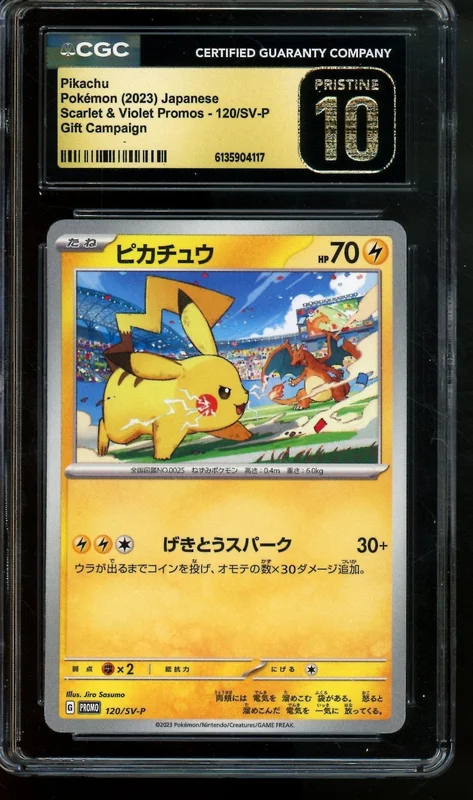tradingcardmarket2957088